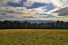 DSC_8413_web