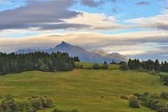 DSC_8458_web