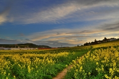 dsc_5226_hdr